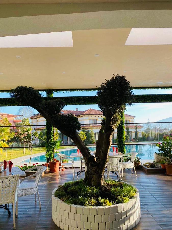 Hotel Paradise 奥格尼亚诺沃 外观 照片